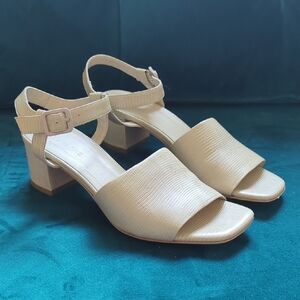 Everlane Women's Tan Sandals